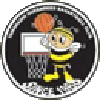 https://img.yzjtly.cn/img/basketball/team/e416830f4083698237c559f8988ddb25.png